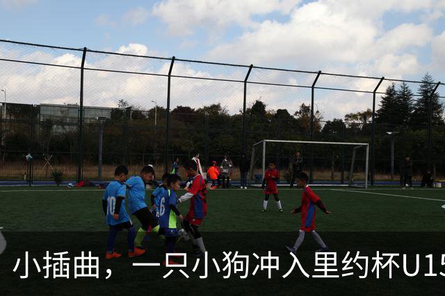 小插曲，一只小狗冲入里约杯U15比赛场内险些头球破门