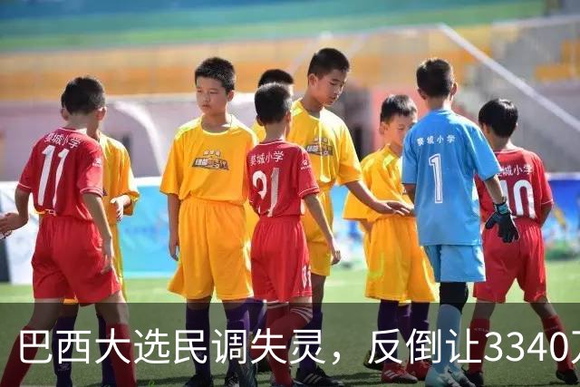 巴西大选民调失灵，反倒让3340万弃权选民成决胜关键？