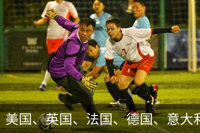 美国、英国、法国、德国、意大利、澳大利亚等30余国，发表联合声明