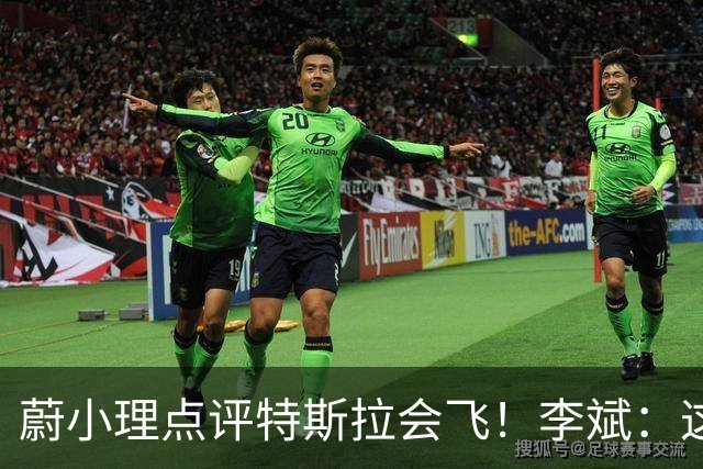 蔚小理点评特斯拉会飞！李斌：这个我们真没有 理想高管：面目全非