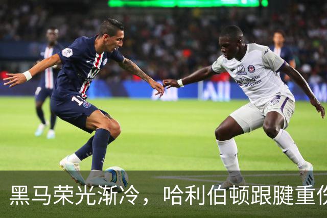 黑马荣光渐冷，哈利伯顿跟腱重伤归来重新出发