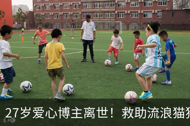 27岁爱心博主离世！救助流浪猫狗感染罕见真菌，ICU抢救22天，丈夫：她在我眼里没有缺点