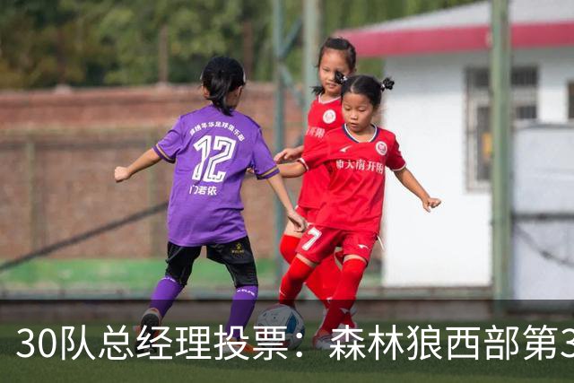 30队总经理投票：森林狼西部第3，却又被选为最难预测